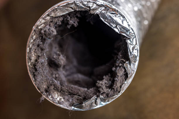 Best Air Duct Cleaning Near Me  in Robersonville, NC